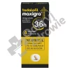 tadalafil bez recepty
